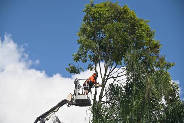 Mulching Services in Stroud, OK